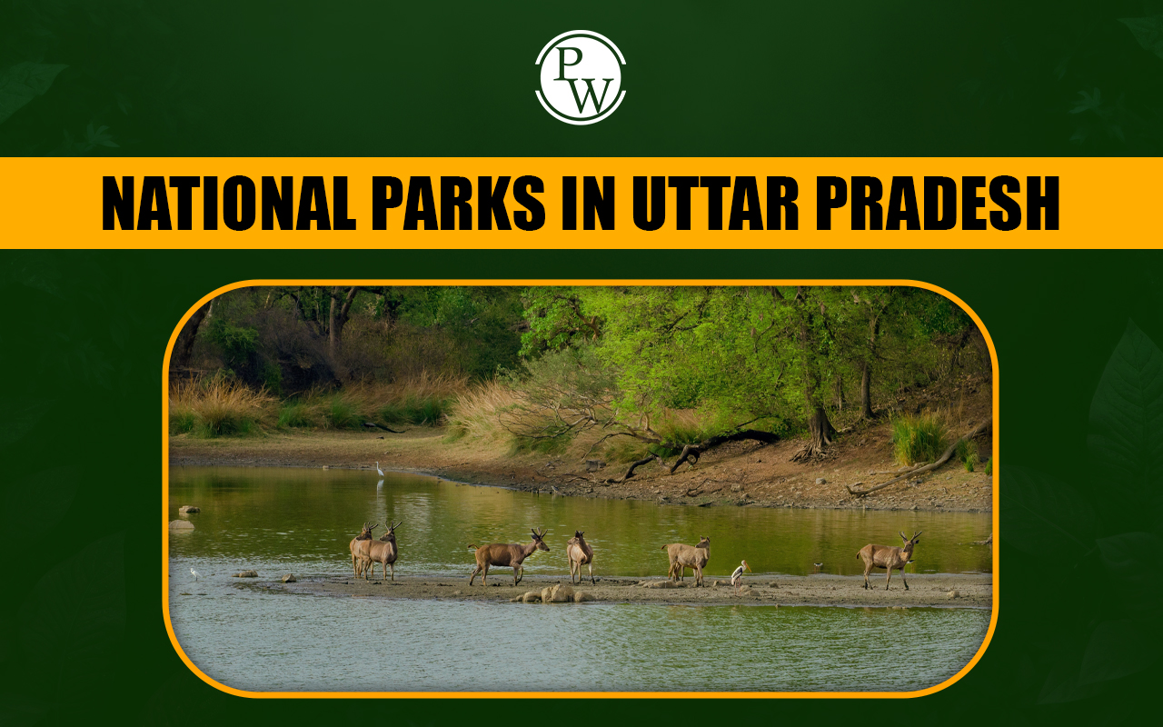 National Parks in Uttar Pradesh