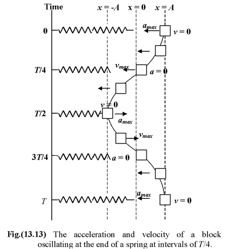 The Spring-Mass System