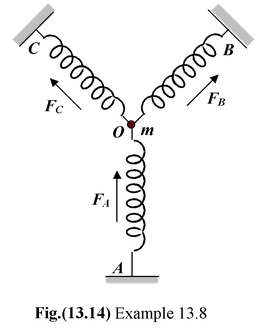 The Spring-Mass System