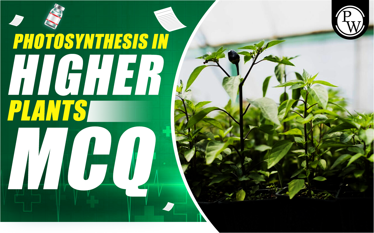 Photosynthesis In Higher Plants MCQ