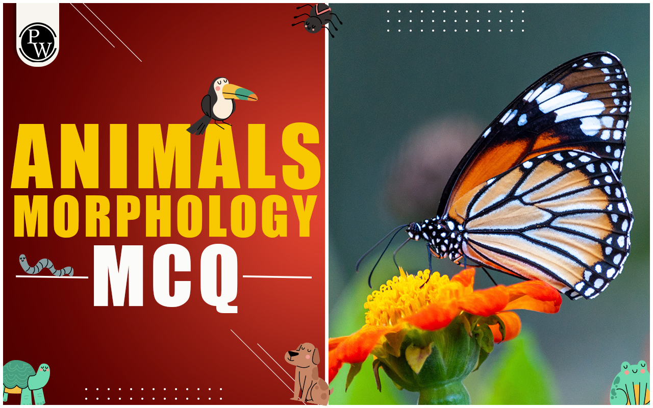 Animal Morphology MCQ for NEET Biology with Answers