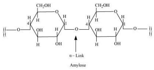 NCERT Solutions for Class 12  Chemistry Chapter 14 - Biomolecules