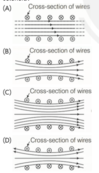 Moving Charges and Magnetism Important Questions