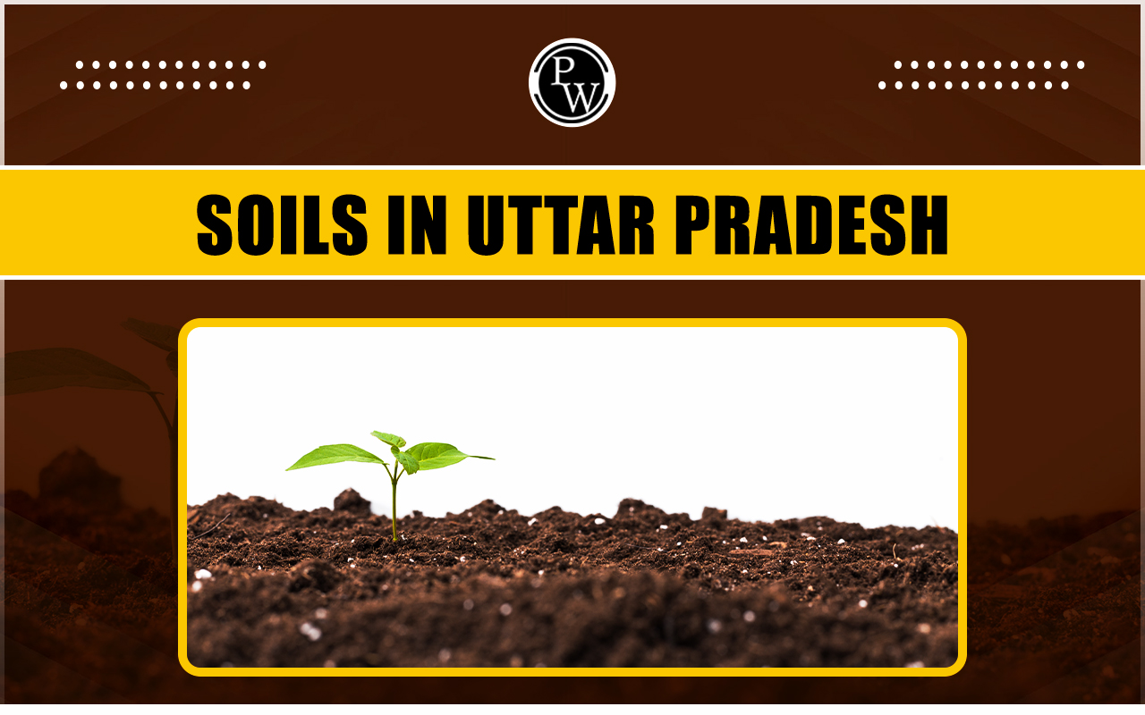 Soils in Uttar Pradesh