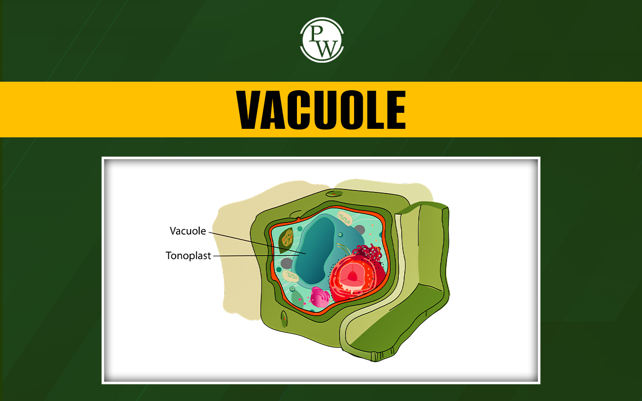 Vacuole, Definition, Structure, Functions for NEET Exam