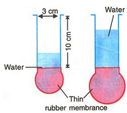 rubber membrance