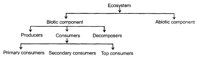 ecosystem