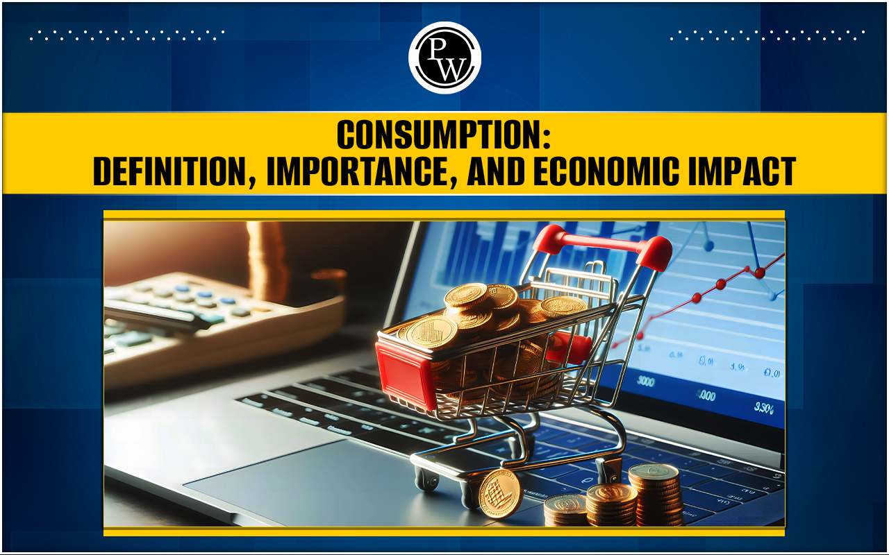 Consumption, Definition, Importance, and Economic Impact