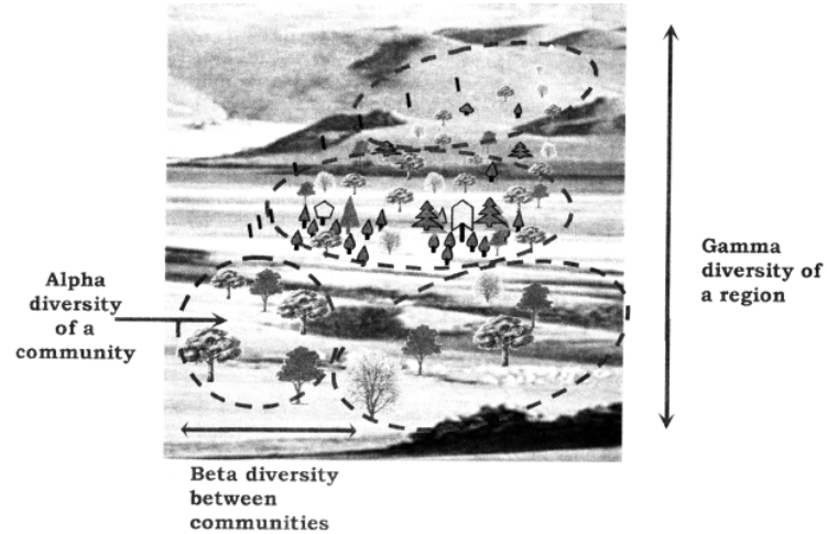 Magnitude Of Biodiversity