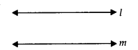 NCERT Solutions for Class 9 Maths Chapter-5 Introduction to Euclid Geometry/Ex 5.1 A2