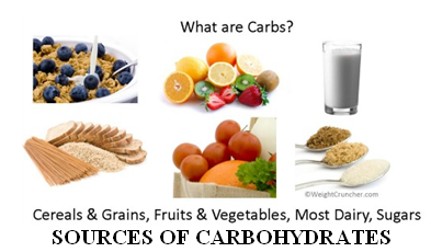 sources of carbohydrates