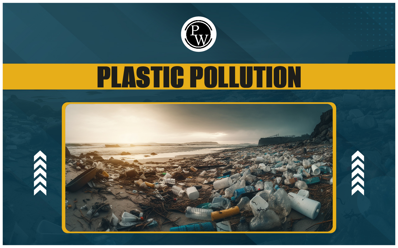 Plastic Pollution