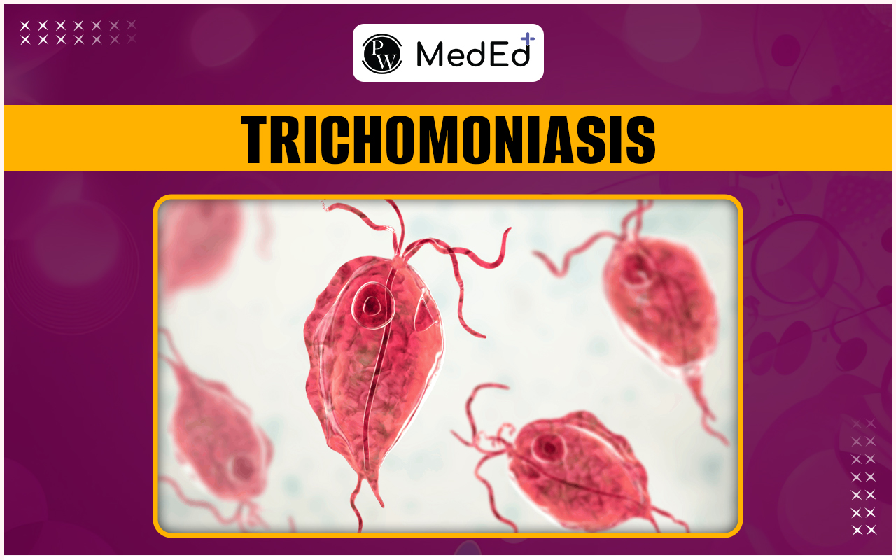 Trichomoniasis  Causes, Symptoms, Risk Factors, Prevention And Treatment