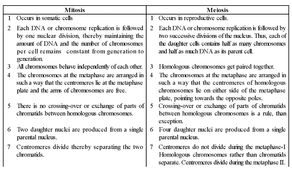 Differences Between Mitosis and Meiosis