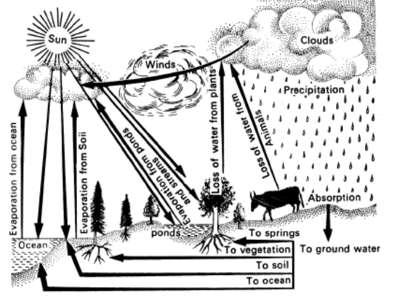 Environment Factors