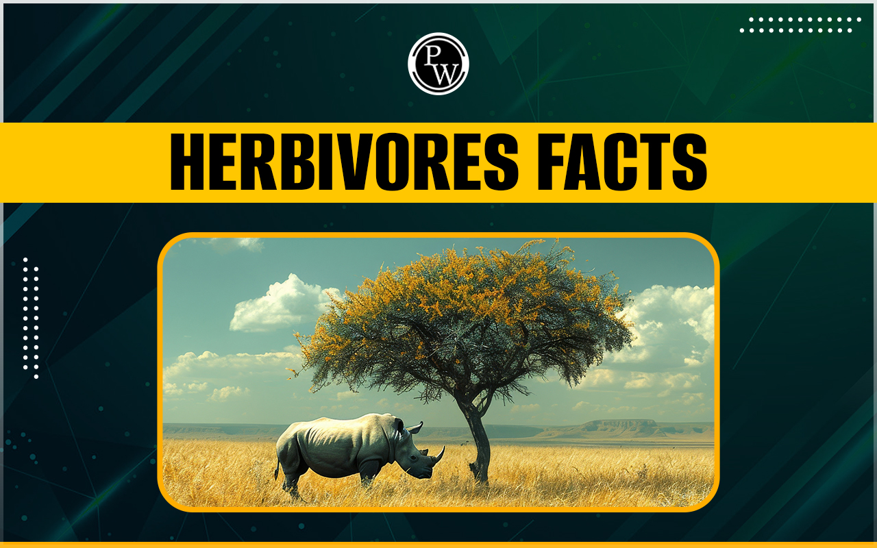 Herbivores Facts