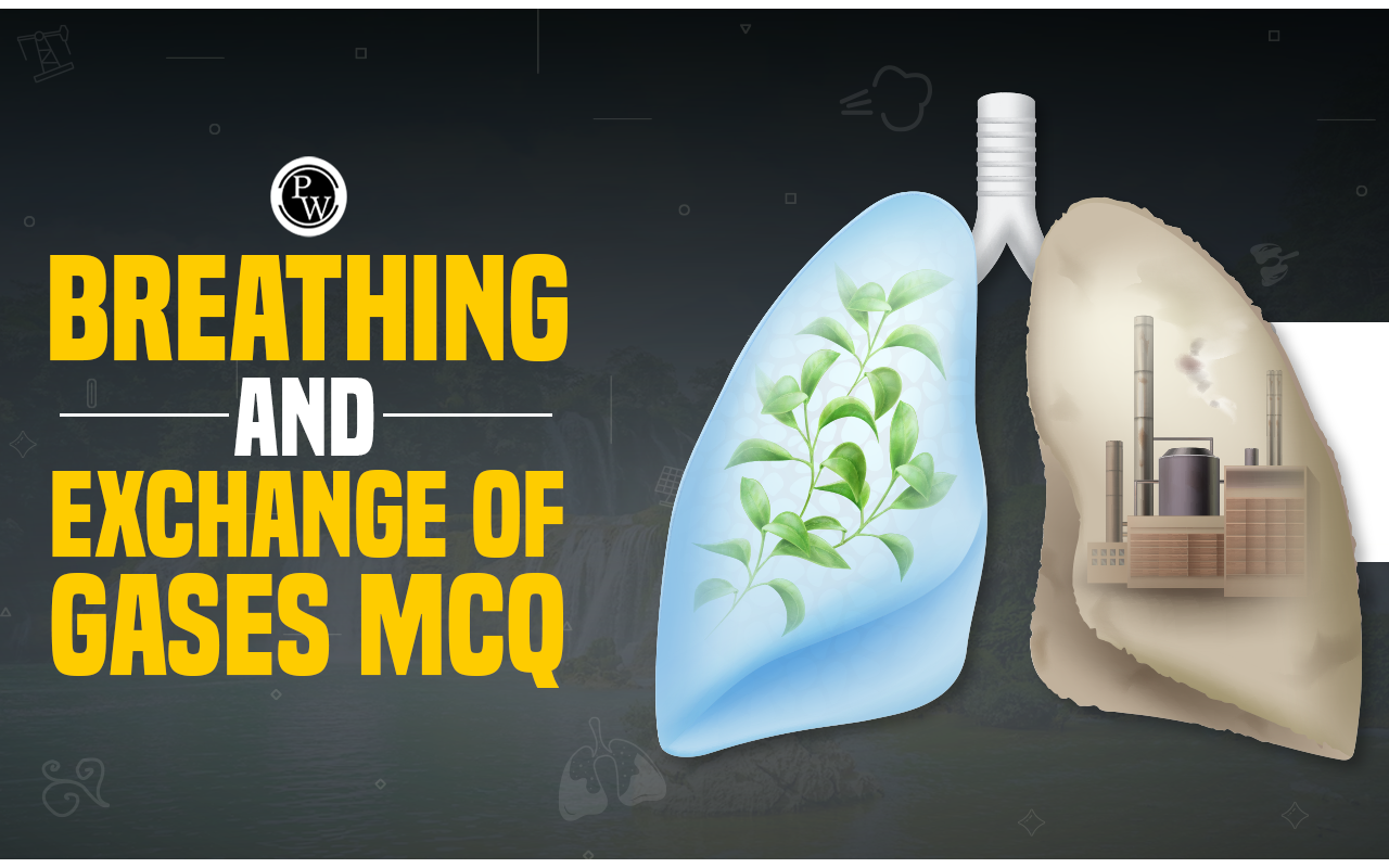 Breathing and Exchange of Gases MCQ