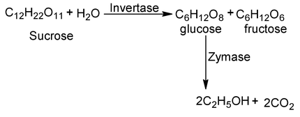 Hydroxy Compounds (Alcohols) 