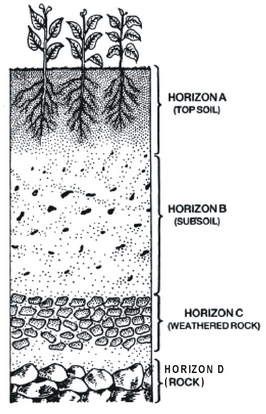 Environment Factors