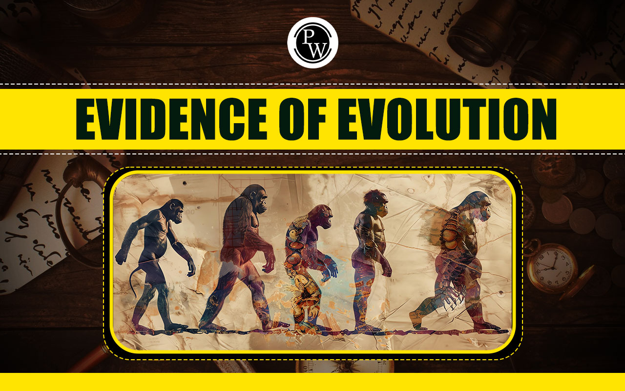 Evidence Of Evolution