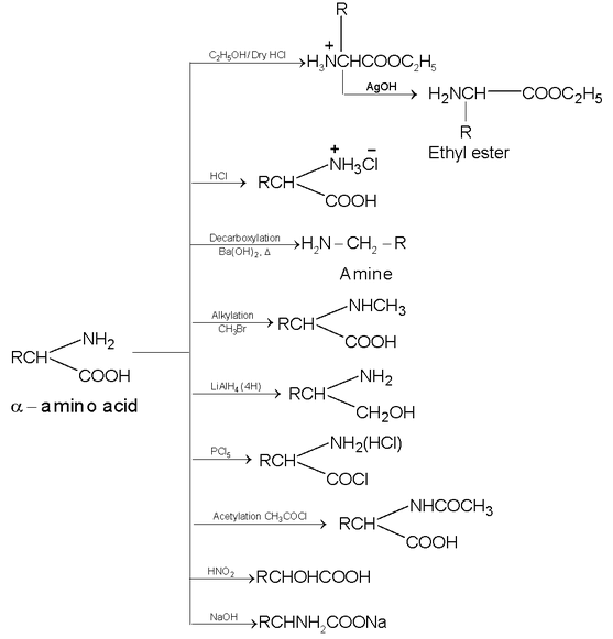 Cyanides And Isocyanides 