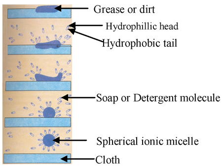 Soaps And Detergents
