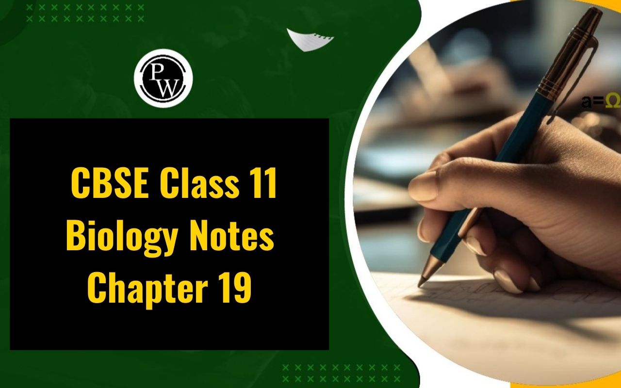 CBSE Class 11 Biology Notes Chapter 19