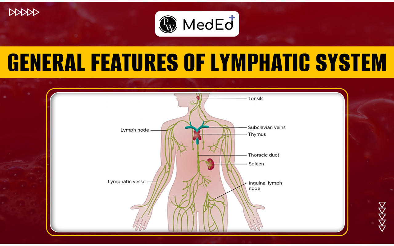 General features of Lymphatic system