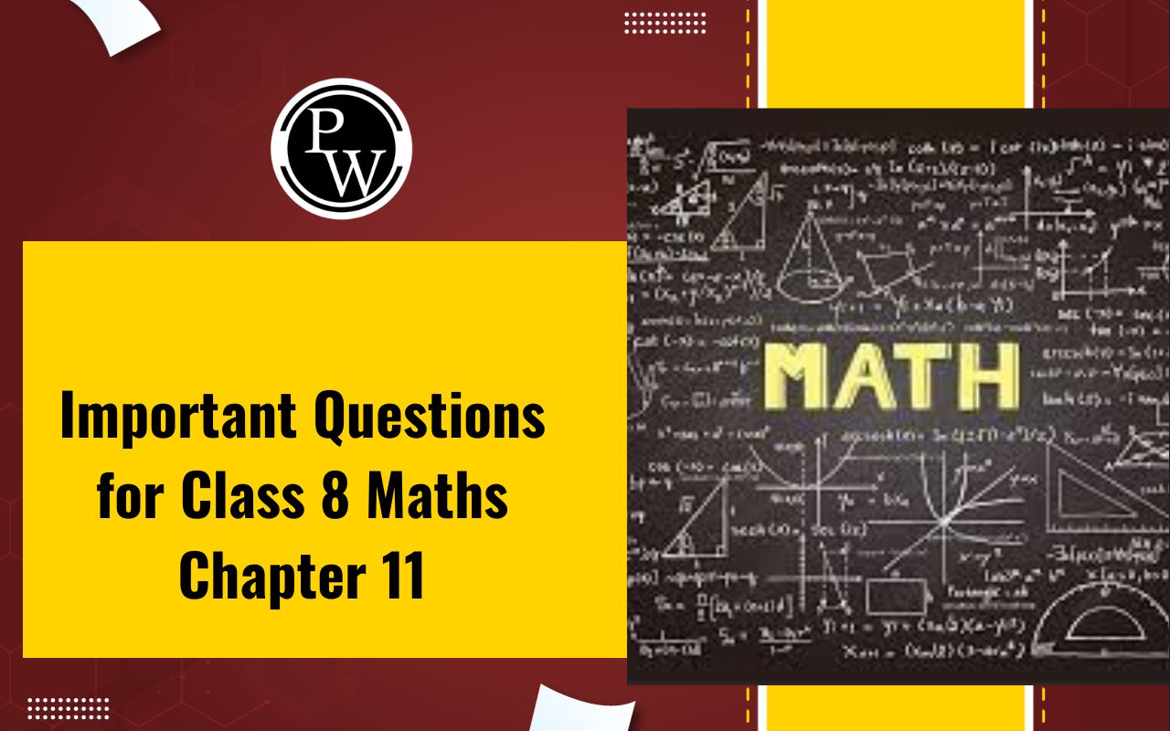 Important Questions for Class 8 Maths Chapter 11