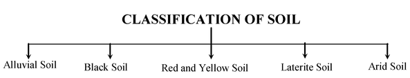 Classification Of Soil