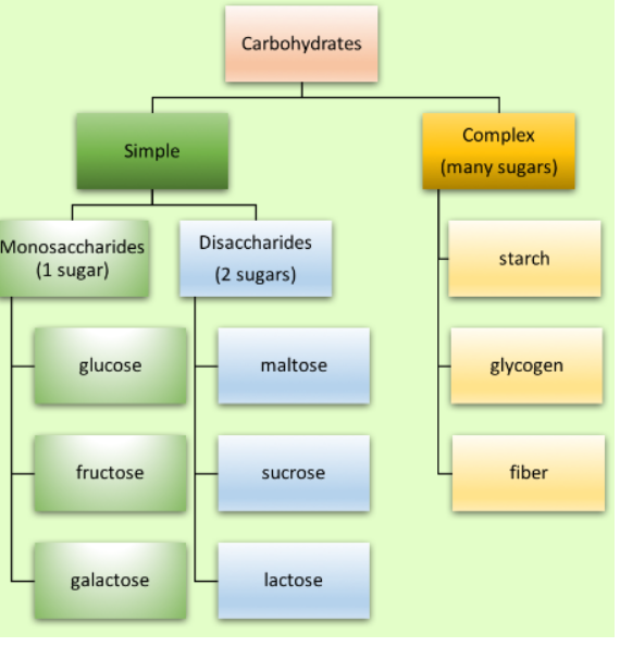 Carbohydrates and it's Classification