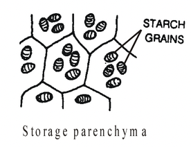 Complex Permanent Tissue