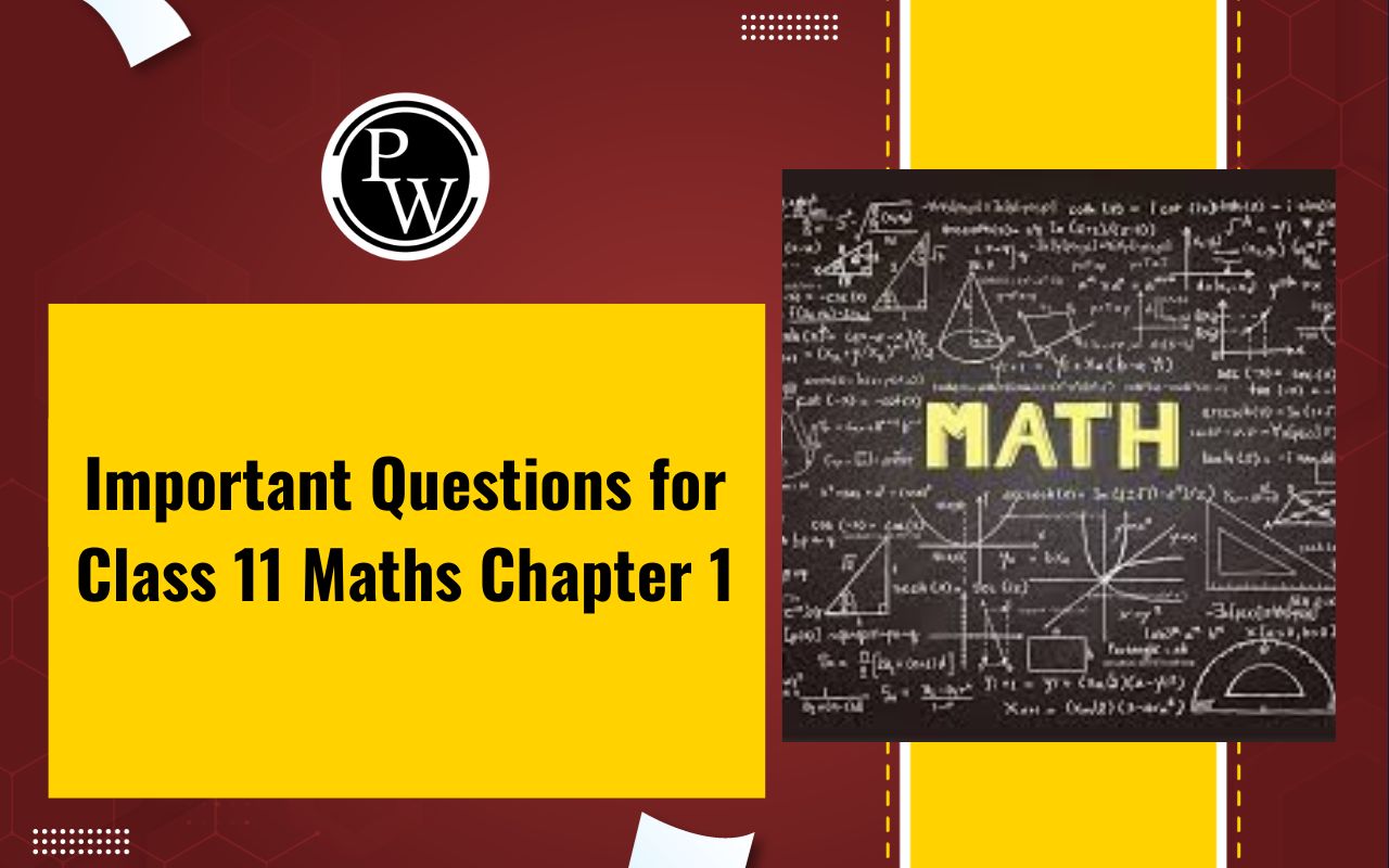 Important Questions for Class 11 Maths Chapter 1