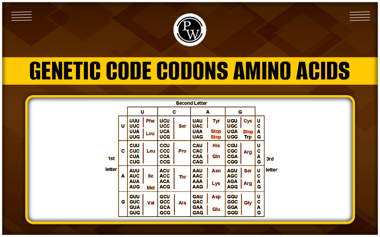 Genetic Code Codons Amino Acids