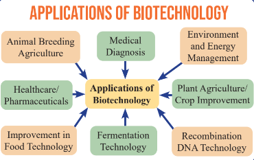 Biotechnology And Its Applications