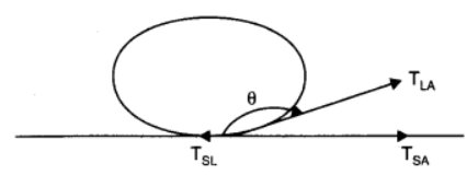 chapter 10-Mechanical Properties of Fluids