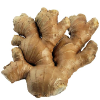 Ginger Spices Names