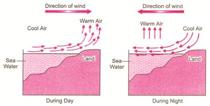 breeze in coastal area