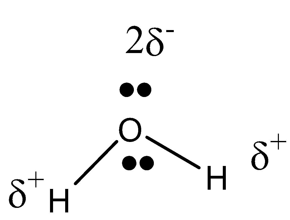 Structure of Water