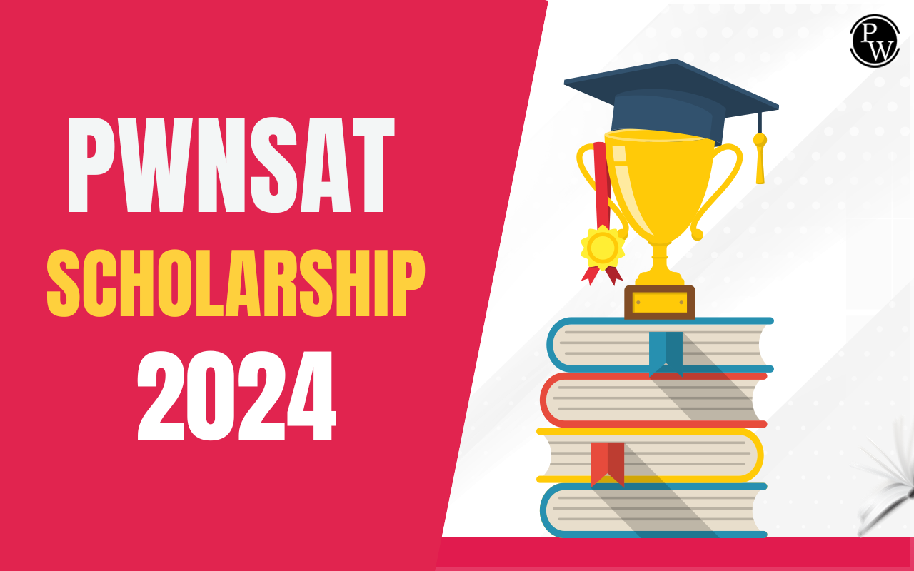 PWNSAT Scholarship 2024