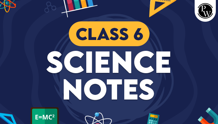 Class 6 Science Notes