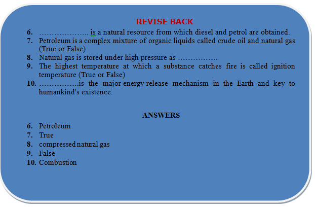 petroleum revision