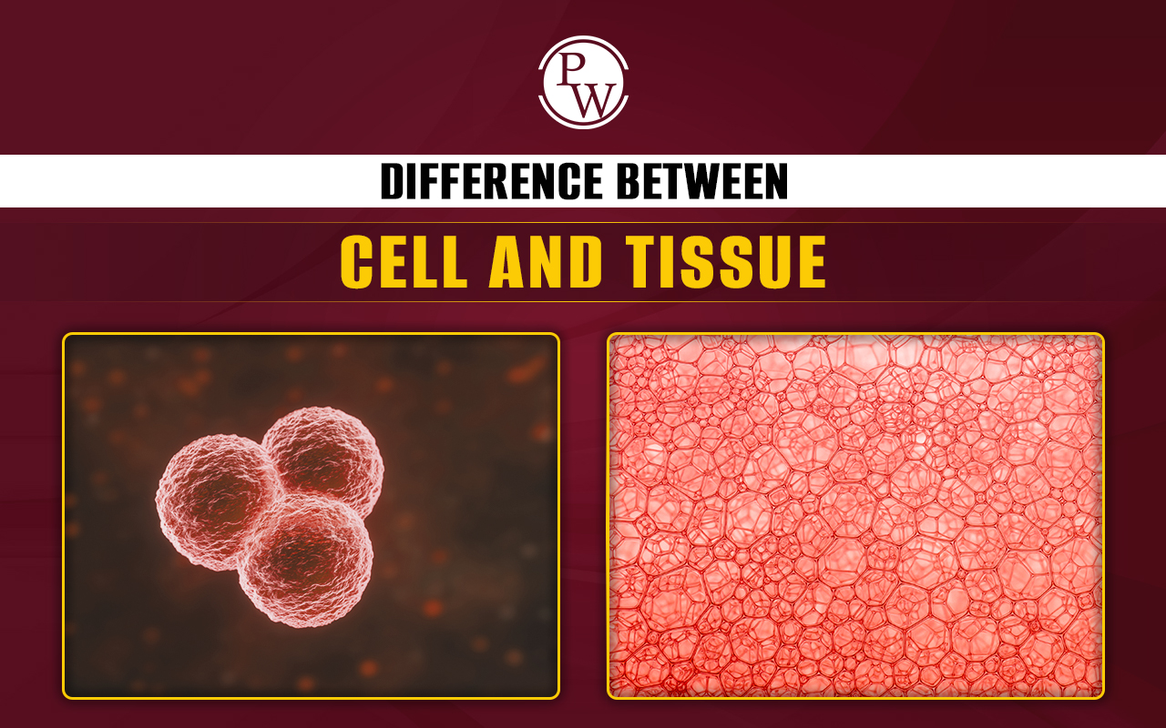 Difference Between Cell and Tissue, Cell Structure, Types of Tissues