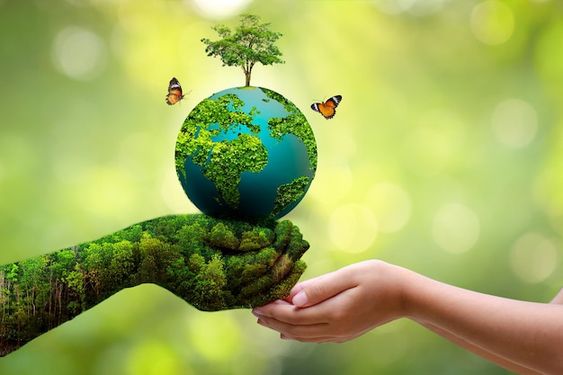 Word Environment Day Slogans on Save Earth