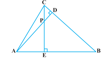 ncert solutions class 10 chapter 6 Ncert solutions class 10 chapter 6-17