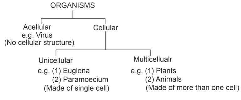 organism
