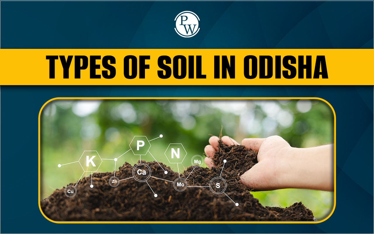 Types of Soil in Odisha