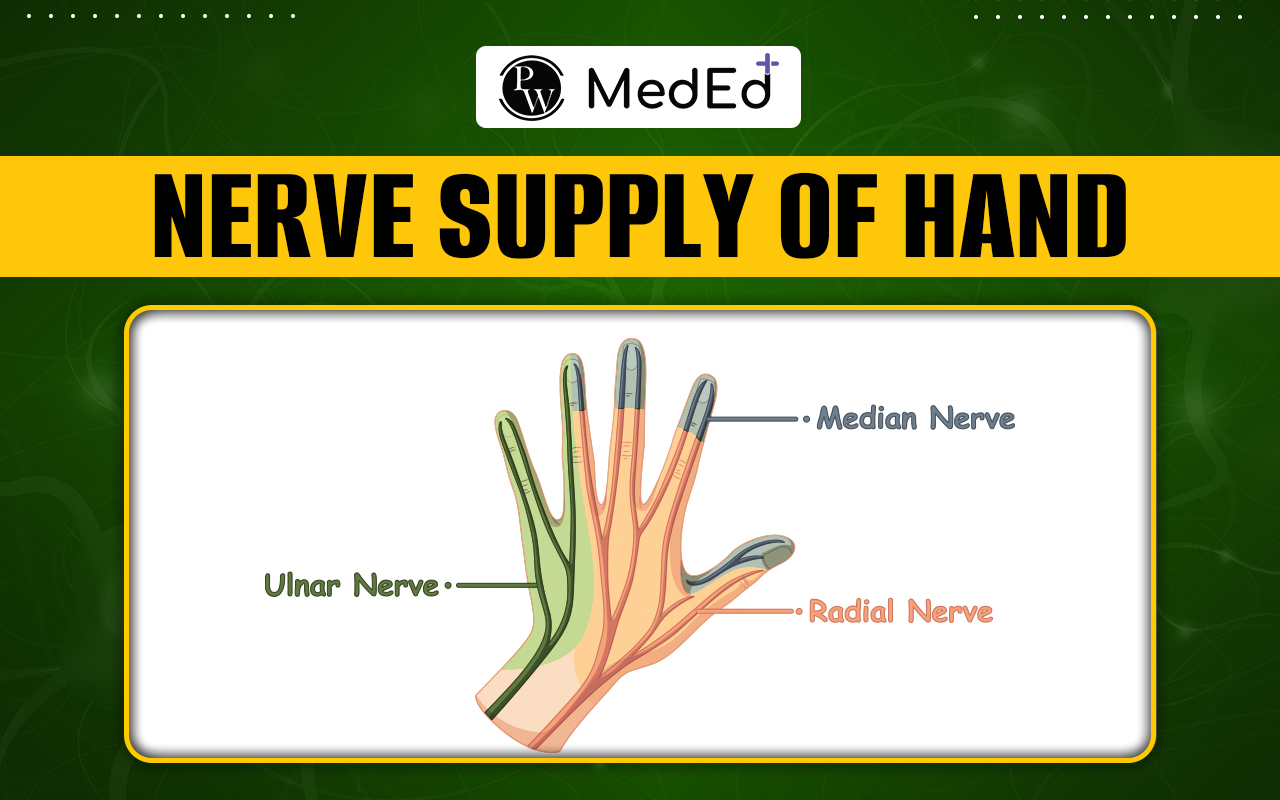 Nerve Supply of Hand