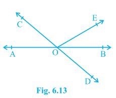 Ncert solutions class 9 chapter 6-1