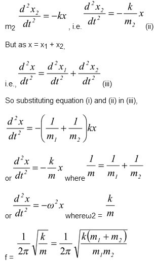 The Spring-Mass System